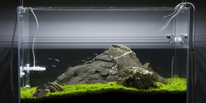 065l - Mateusz Witkowski 