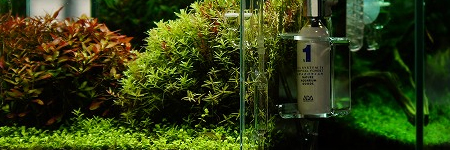 Aktualne zdjęcia z Nature Aquarium Gallery