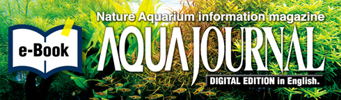 Nowy numer AquaJournal Online