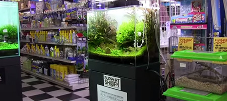 Kanedai Higashi Totsuka Store
