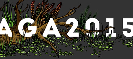 Konkurs AGA 2015