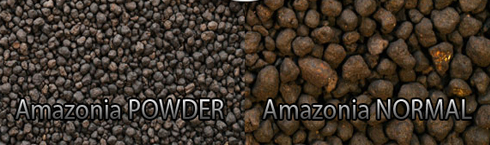Amazonia NEW w wersji POWDER