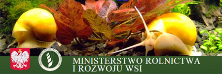 Projekt Ministerstwa Rolnictwa