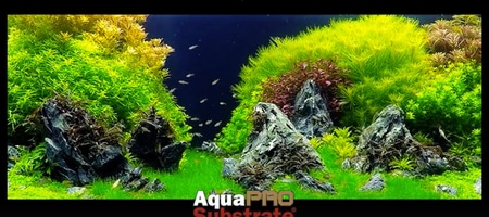 Nowe podłoże Aqua-Art