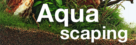 "AquaScaping" - podręcznik aquadesignera