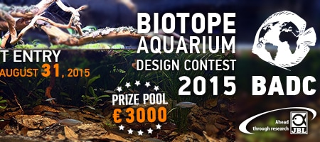 Konkurs biotopowy Biotope Aquarium Design Contest 2015