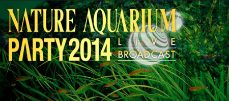 Nature Aquarium Party 2014