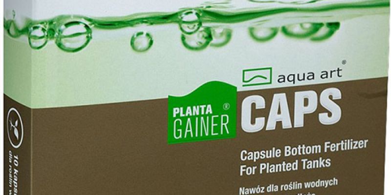 Kapsułki Planta Gainer Caps