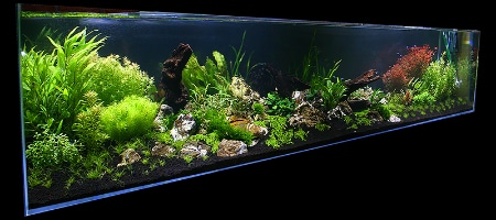 Aktualizacja akwarium 1260l