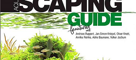 Aquascaping Guide