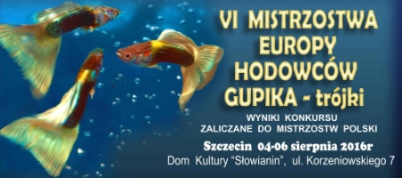 VI Mistrzostwa Europy Hodowców Gupika