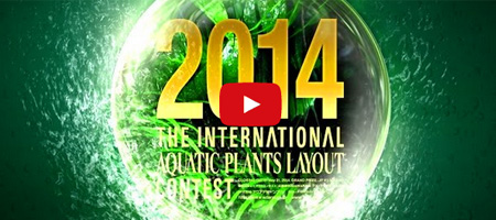 Konkurs IAPLC 2014 - pozostało 10 dni