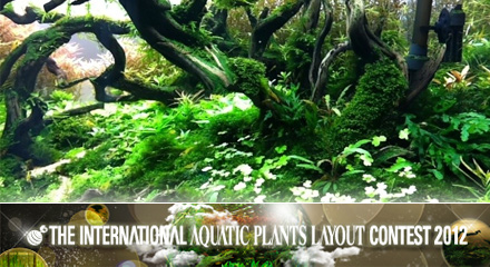 Pozostało niecałe 1.5 miesiąca...