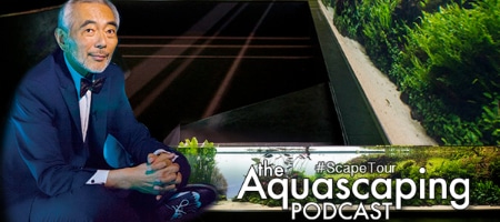 Podcast o ekspozycji Florestas Submersas