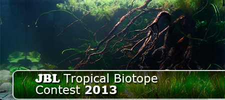 JBL Tropical Biotope Contest 2013