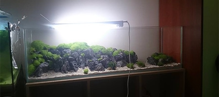 120x30x35cm - jamnik Konrada