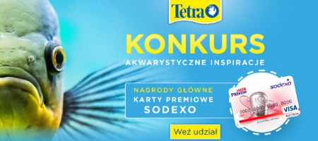 Konkurs Tetra - Akwarystyczne Inspiracje