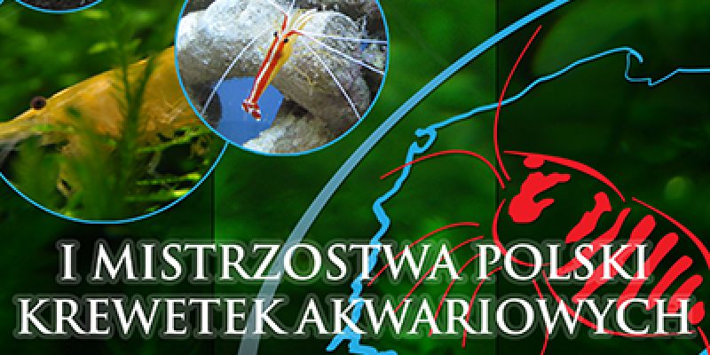 IV Wystawa Krewetek i Akwariów - Szczecin 2013