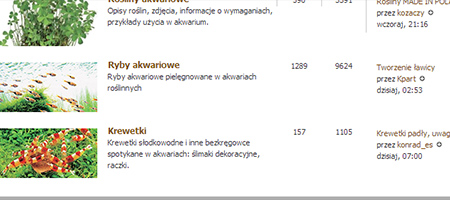 Nowy dział Forum: Krewetki