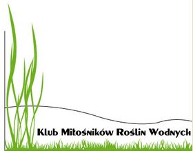 Konkurs na logo KMRW - ankieta