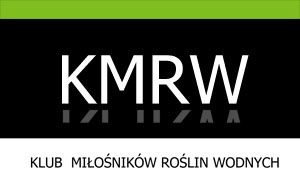 Konkurs na logo KMRW - ankieta