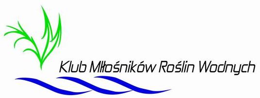 Konkurs na logo KMRW - ankieta