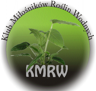Konkurs na logo KMRW - ankieta