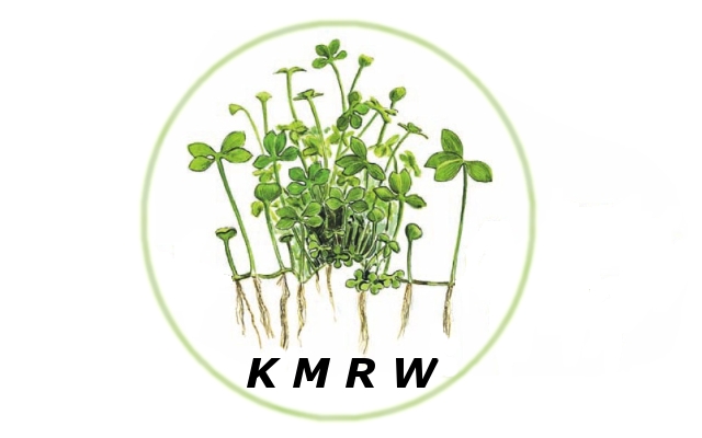 Konkurs na logo KMRW - ankieta