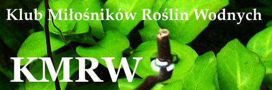 Konkurs na logo KMRW - ankieta