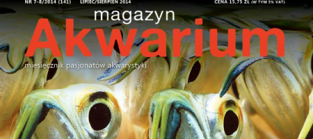 Magazyn Akwarium nr 141