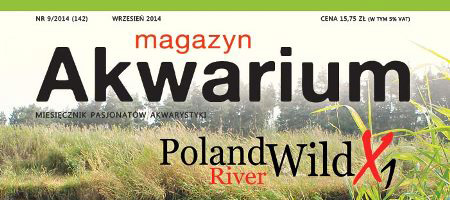 Magazyn Akwarium nr 142
