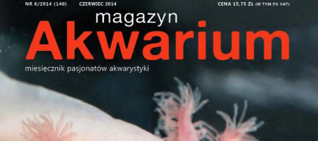 Magazyn Akwarium nr 140