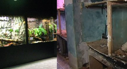 Koniec Oceanarium w Krakowie