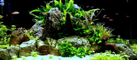 112l - Powrót do hobby - sliwek898 