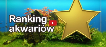 Ranking akwariów