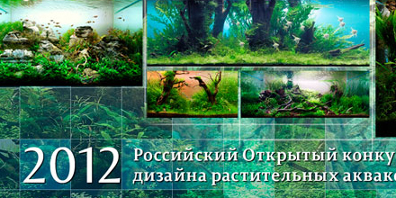Już niebawem wyniki konkursu Russian Open Aquatic Plants Layout Contest 2012