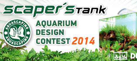 Scapers Tank Contest 2014