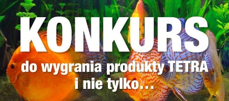 Mini konkurs Tetra