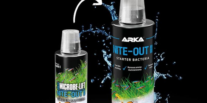 micr0be-lift zmienia się&nbsp;w ARKA