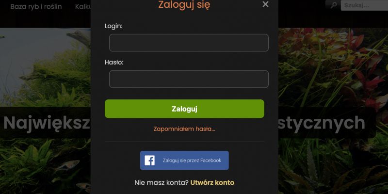 Nowe funkcjonalności na stronie