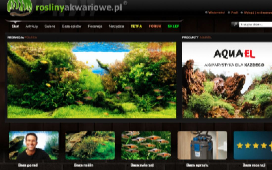 Nowe profile na Forum - wrzesień 2019
