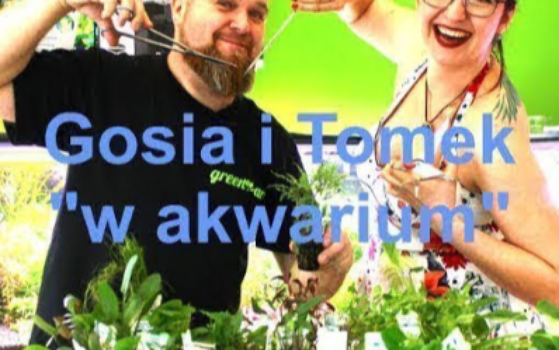 Przygotowanie roślin do posadzenia w akwarium