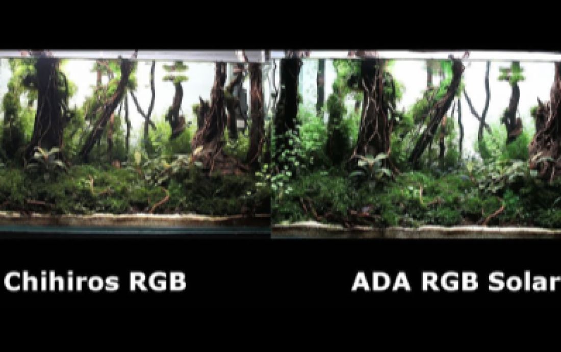 Porównania lamp ADA RGB Solar i Chihiros RGB