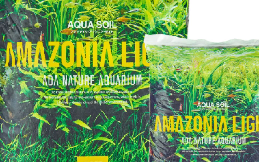 TANIEJ / PROŚCIEJ / LEPIEJ  z Amazonia Light