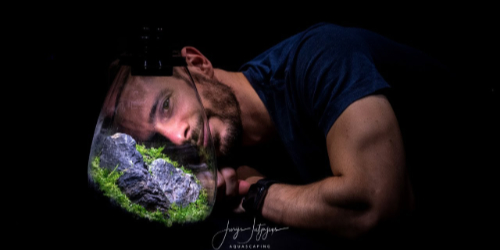 BAIOSPHERE Terrarium - przyszłości Wabi-Kusa? 