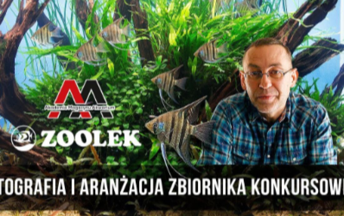 Jak fotografować akwarium - prelekcja video