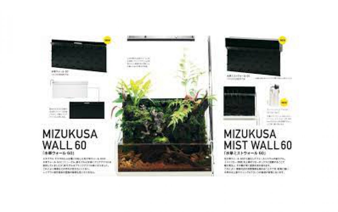 Magazyn AquaJournal 284