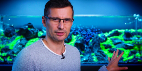 Zakładanie akwarium metodą suchego startu