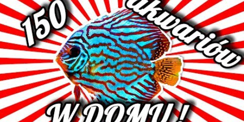 Z wizytą w hodowli dyskowców Andrzeja Nowickiego
