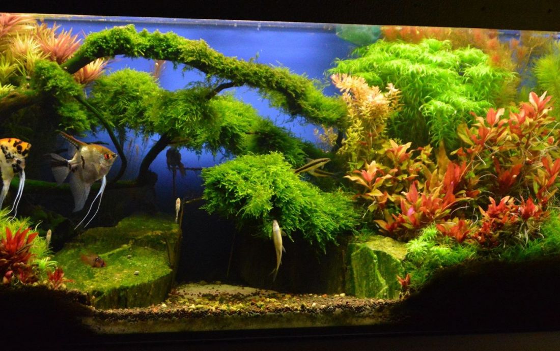 240l - Nad strumieniem - Dominik Antczak 